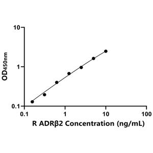 大鼠肾上腺素能受体β2(ADRβ2)ELISA试剂盒,Rat ADRβ2 ELISA KIT