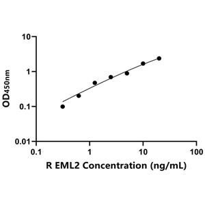 大鼠棘皮动物微管关联蛋白样蛋白2(EML2)ELISA试剂盒,Rat EML2 ELISA KIT