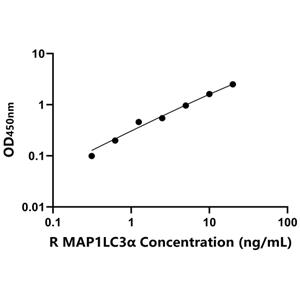 MAP1LC3α ELISA KIT / 大鼠微管关联蛋白1轻链3α ELISA试剂盒  
