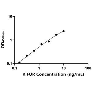 大鼠弗林蛋白酶(FUR)ELISA试剂盒,Rat FUR ELISA KIT