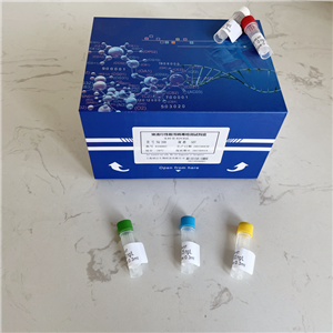 β-半乳糖苷酶(β-GAL)试剂盒