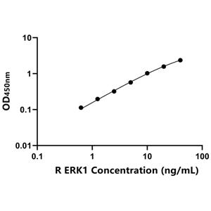ERK1 ELISA KIT / 大鼠细胞外信号调节激酶1 ELISA试剂盒  