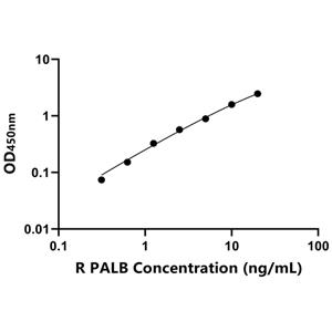 大鼠转甲状腺素蛋白(PALB)ELISA试剂盒,Rat PALB ELISA KIT