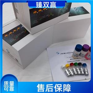 人前蛋白转化酶枯草溶菌素2(PCSK2)ELISA试剂盒,Human PCSK2 ELISA KIT