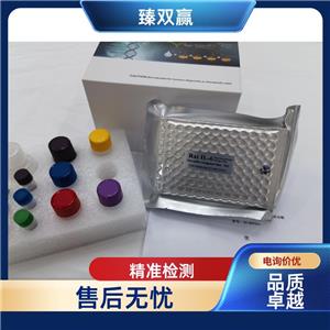 人分泌粒蛋白1(SCG1)ELISA试剂盒,Human SCG1 ELISA KIT