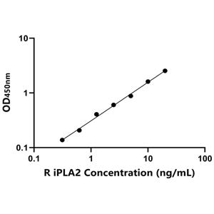 大鼠钙非依赖性磷脂酶A2(iPLA2)ELISA试剂盒,Rat iPLA2 ELISA KIT