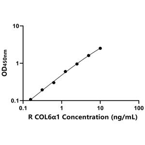大鼠Ⅵ型胶原α1(COL6α1)ELISA试剂盒,Rat COL6α1 ELISA KIT