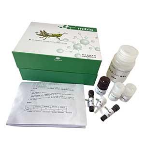 β-葡萄糖醛酸苷酶(β-GD)测定试剂盒/比色法/48样,β-GD ELISA KIT