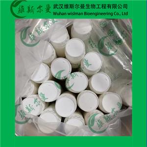 高分辨率琼脂糖（PCR级）-39346-81-1-凝胶强度≥750g-精品化学试剂-找维斯尔曼王华