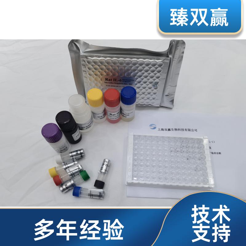 人弹性蛋白(elastin)ELISA试剂盒,Human elastin ELISA KIT