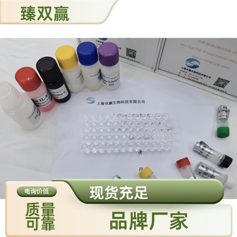 人CX3C趋化因子;fractalkine(FKN;CX3CL1)ELISA试剂盒,FKN ; CX3CL1 Elisa kit