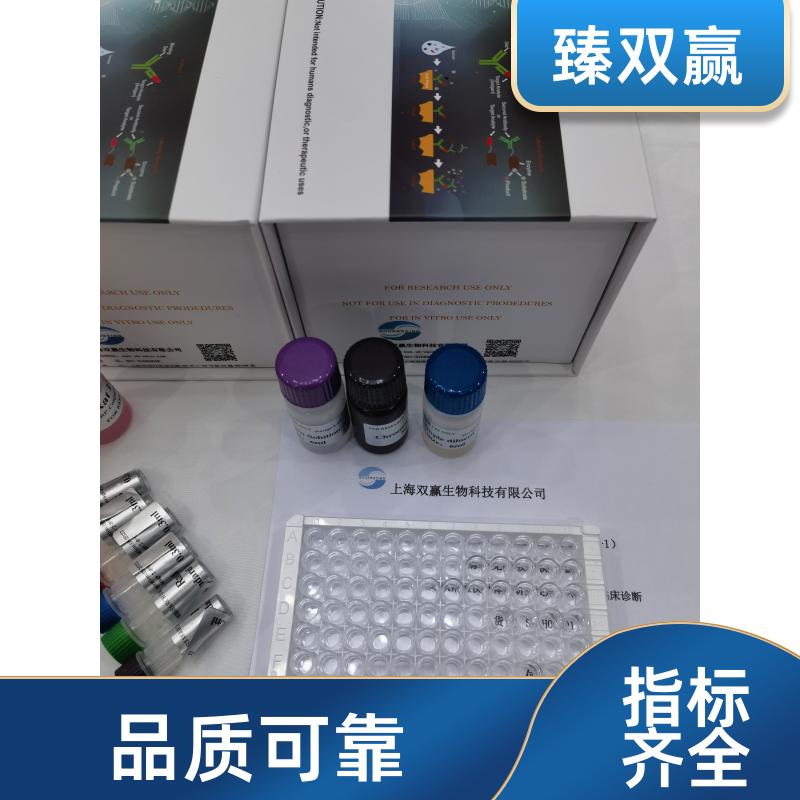 人非组织特异性碱性磷酸酶(ALPL)ELISA试剂盒,Human ALPL ELISA KIT