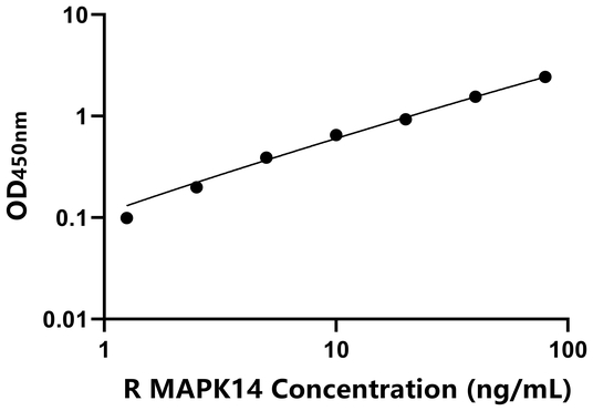 大鼠丝裂原激活蛋白激酶14(MAPK14)ELISA试剂盒,Rat MAPK14 ELISA KIT