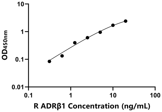 大鼠肾上腺素能受体β1(ADRβ1)ELISA试剂盒,Rat ADRβ1 ELISA KIT