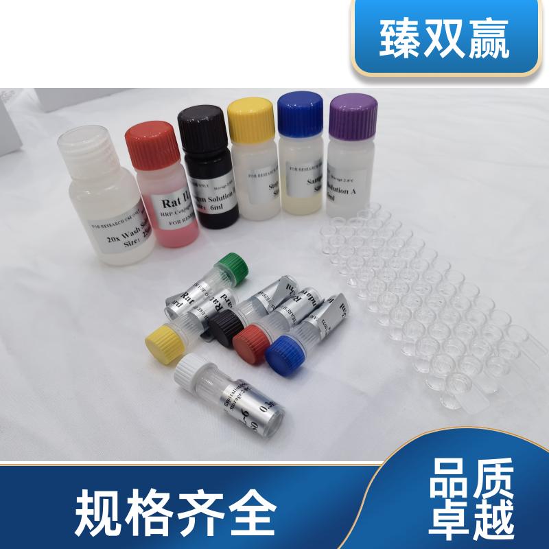 人Slit同源物2(Slit2)ELISA试剂盒,Human Slit2 ELISA KIT