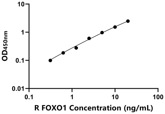 大鼠叉头框蛋白O1(FOXO1)ELISA试剂盒,Rat FOXO1 ELISA KIT