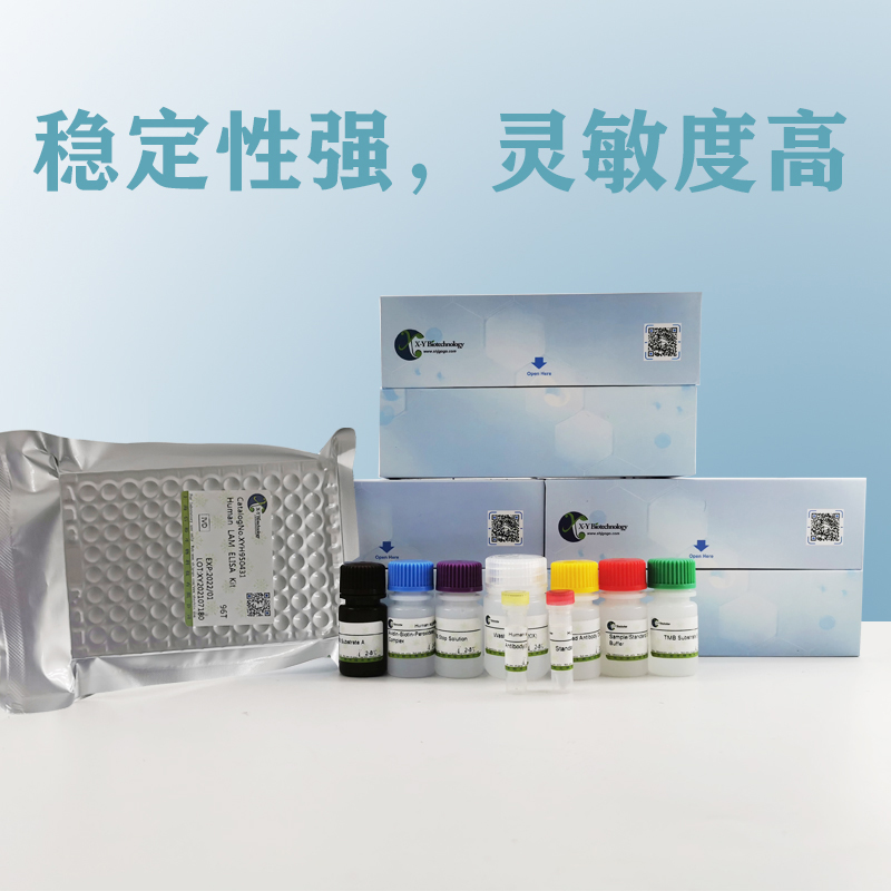 豚鼠IL-4（白细胞介素4）ELISA试剂盒,Guinea pig IL-4(Interleukin 4) ELISA Kit