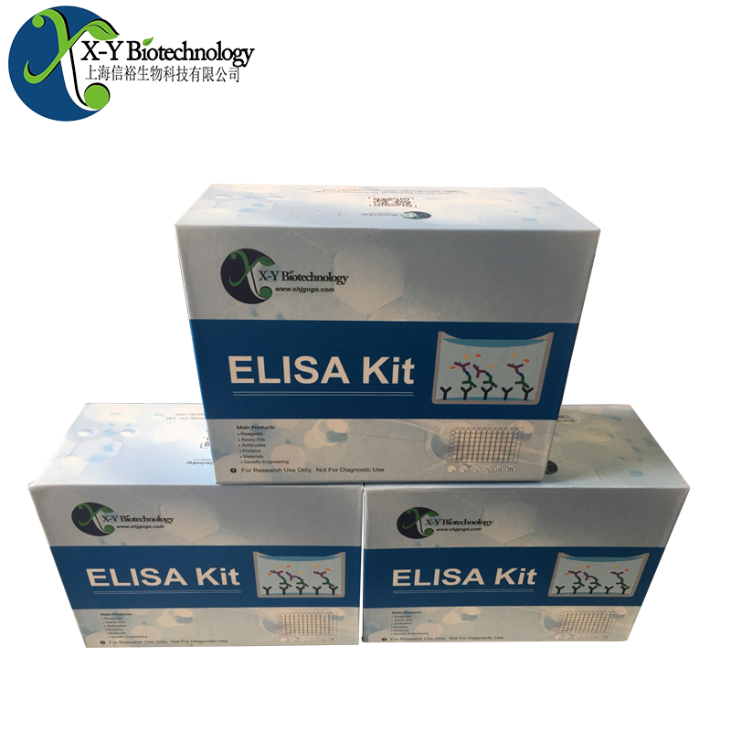 豚鼠MCP-1（单核细胞趋化蛋白1）ELISA试剂盒,Guinea pig MCP-1(Monocyte Chemotactic Protein 1) ELISA Kit