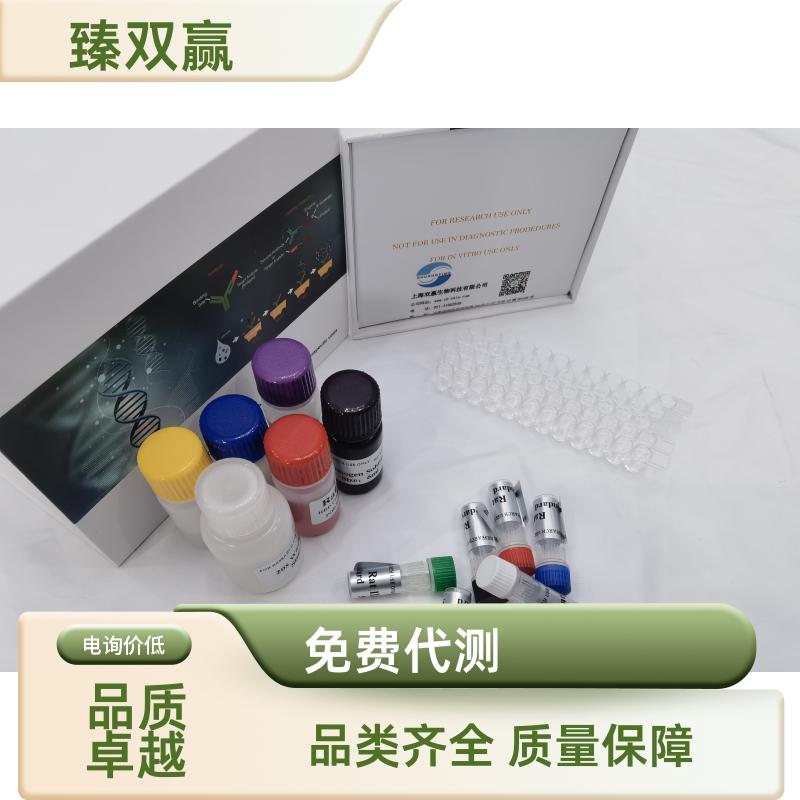 人烟碱型乙酰胆碱受体(N-AChR)ELISA试剂盒,Human N-AChR ELISA KIT
