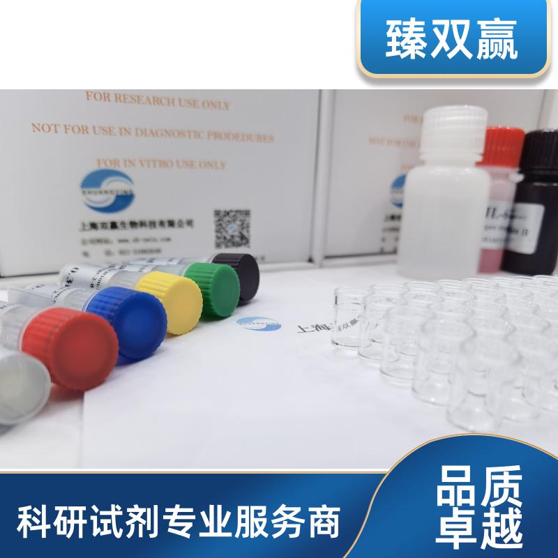 人热休克蛋白90α(HSP-90α)ELISA试剂盒,Human HSP-90α ELISA KIT