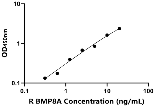 大鼠骨形成蛋白8A(BMP8A)ELISA试剂盒,Rat BMP8A ELISA KIT