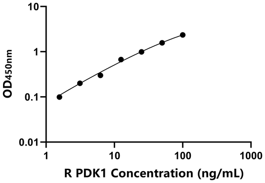大鼠丙酮酸脱氢酶激酶同工酶1(PDK1)ELISA试剂盒,Rat PDK1 ELISA KIT