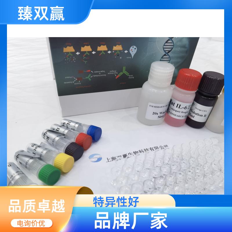 人泛素特异性肽酶11(USP11)ELISA试剂盒,Human USP11 ELISA KIT