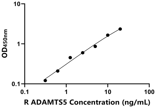 大鼠血小板反应蛋白解整合素金属肽酶5(ADAMTS5)ELISA试剂盒,Rat ADAMTS5 ELISA KIT