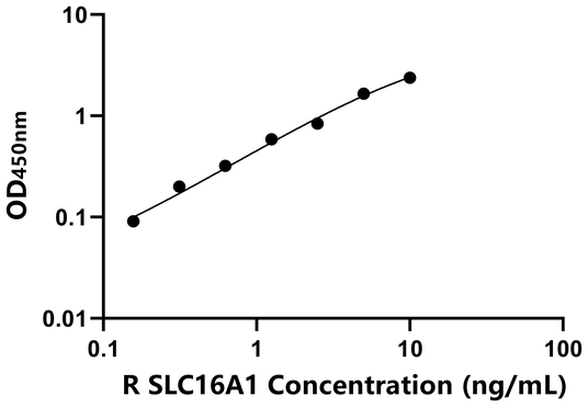 大鼠溶质载体家族16成员1(SLC16A1)ELISA试剂盒,Rat SLC16A1 ELISA KIT