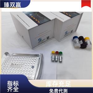 人白细胞介素9(IL-9)ELISA试剂盒,Human IL-9 ELISA KIT