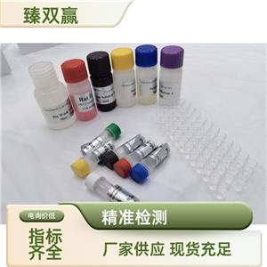 人骨形成蛋白1(BMP1)ELISA试剂盒,Human BMP1 ELISA KIT