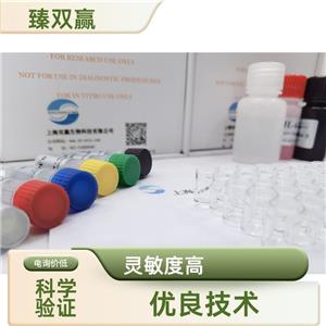 人白细胞介素13(IL-13)ELISA试剂盒,Human IL-13 ELISA KIT