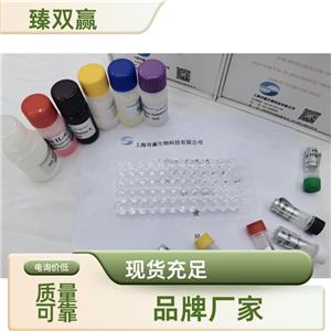 人CX3C趋化因子;fractalkine(FKN;CX3CL1)ELISA试剂盒