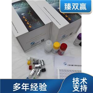人白细胞介素14(IL-14)ELISA试剂盒,Human IL-14 ELISA KIT