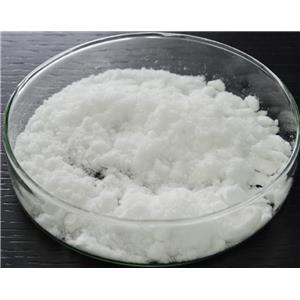 工业级 N-叔丁基丙烯酰胺107-58-4