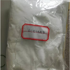 N-叔丁基丙烯酰胺,N-tert-Butyl acrylamide