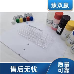 人Slit同源物2(Slit2)ELISA试剂盒,Human Slit2 ELISA KIT