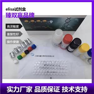 人骨粘连蛋白(ON)ELISA试剂盒,Human ON ELISA KIT