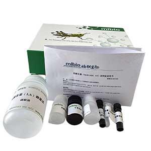 NADP苹果酸酶(NADP-ME)测定试剂盒/微量法/96样,NADP-ME ELISA KIT