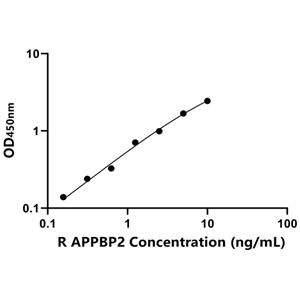 大鼠淀粉样蛋白β前体蛋白结合蛋白2(APPBP2)ELISA试剂盒,Rat APPBP2 ELISA KIT