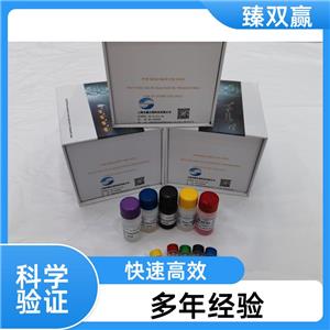人生存素(survivin)ELISA试剂盒,Human survivin ELISA KIT