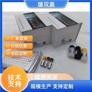 人琥珀酸脱氢酶复合体B亚基(SDHB)ELISA试剂盒,Human SDHB ELISA KIT