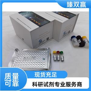 人泛素蛋白连接酶E3成分N-识别蛋白5(UBR5)ELISA试剂盒,Human UBR5 ELISA KIT