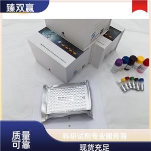 人玻连蛋白;体外粘连蛋白(VTN;CD51+CD61)ELISA试剂盒,Human VTN;CD51+CD61 ELISA KIT