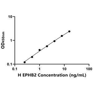 人肝配蛋白B受体2(EPHB2)ELISA试剂盒,Human EPHB2 ELISA KIT