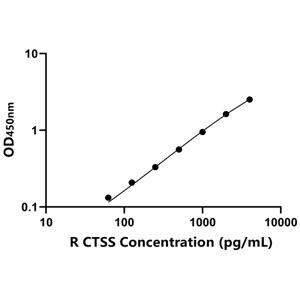 大鼠组织蛋白酶S(CTSS)ELISA试剂盒,Rat CTSS ELISA KIT