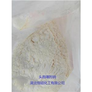 头孢噻肟钠；头孢氨噻肟；氨噻肟头孢菌素；头孢泰克松；西孢克拉瑞；CTX 64485-93-4