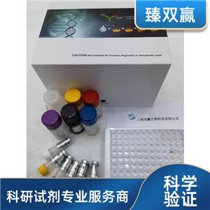 人泛素蛋白连接酶E3成分N-识别蛋白4(UBR4)ELISA试剂盒,Human UBR4 ELISA KIT