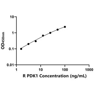 PDK1 ELISA KIT / 大鼠丙酮酸脱氢酶激酶同工酶1 ELISA试剂盒