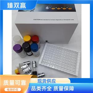 人泛素特异性肽酶11(USP11)ELISA试剂盒,Human USP11 ELISA KIT